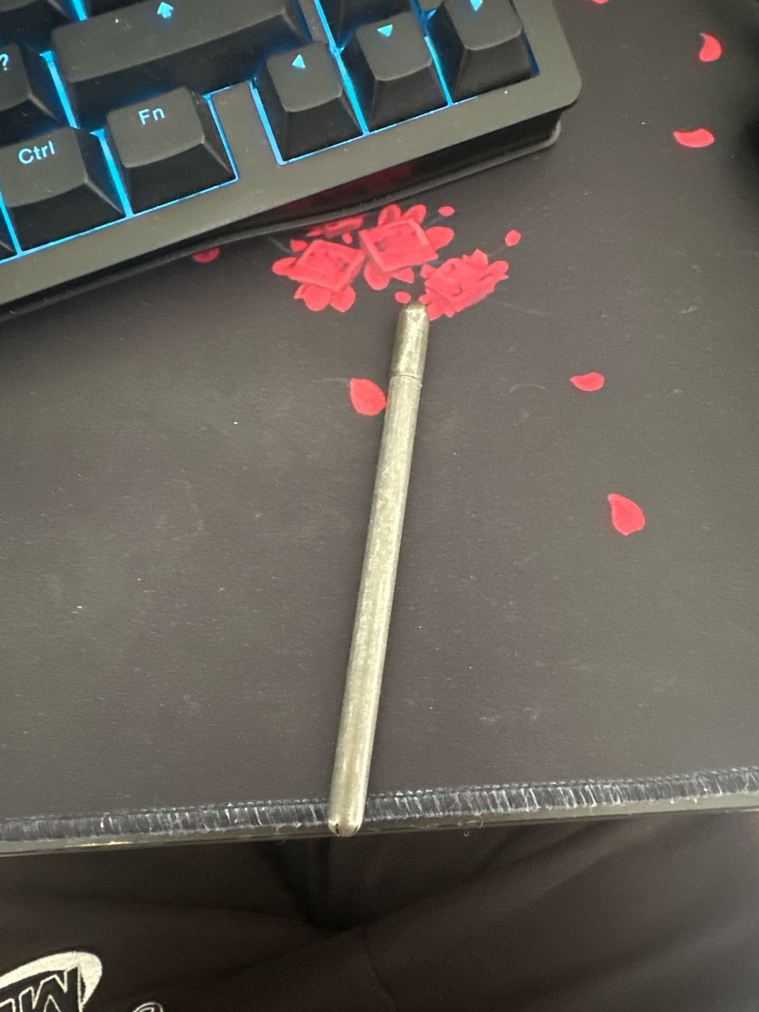 Unknown Pocket Stylus / Metal Rod Item